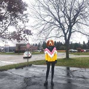 Meet your Posher, Zihao